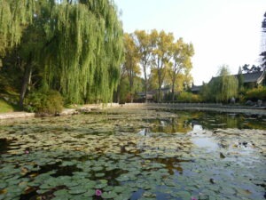 Impressions of China – Water